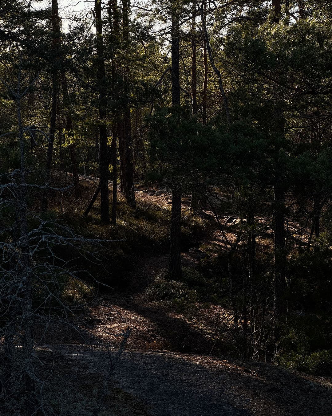 R58 x Cannondale XC MTB ambassadör sökes.